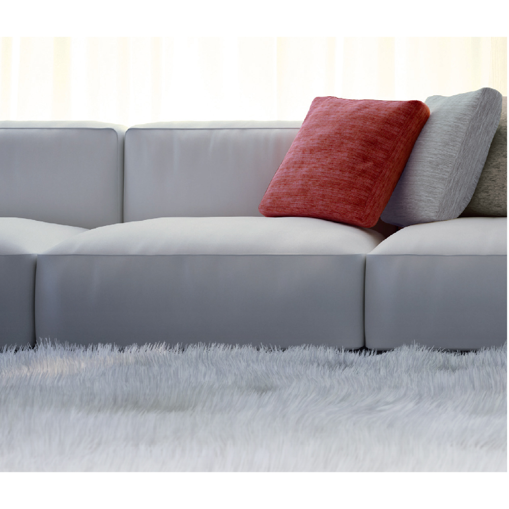 Adjustable electric carpet beater Nadair Vacuum